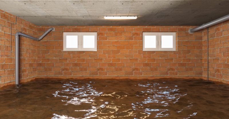 Basement Restoration Service in Wilmington, NC