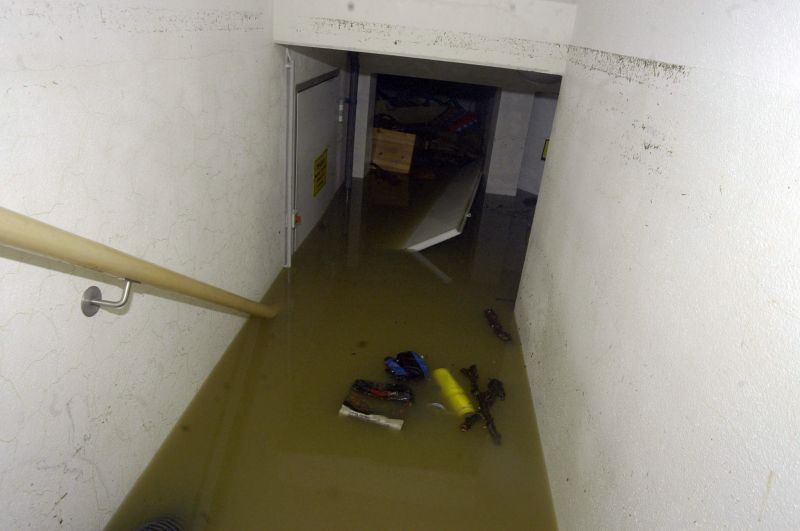 Basement Restoration Service in Mesa, AZ