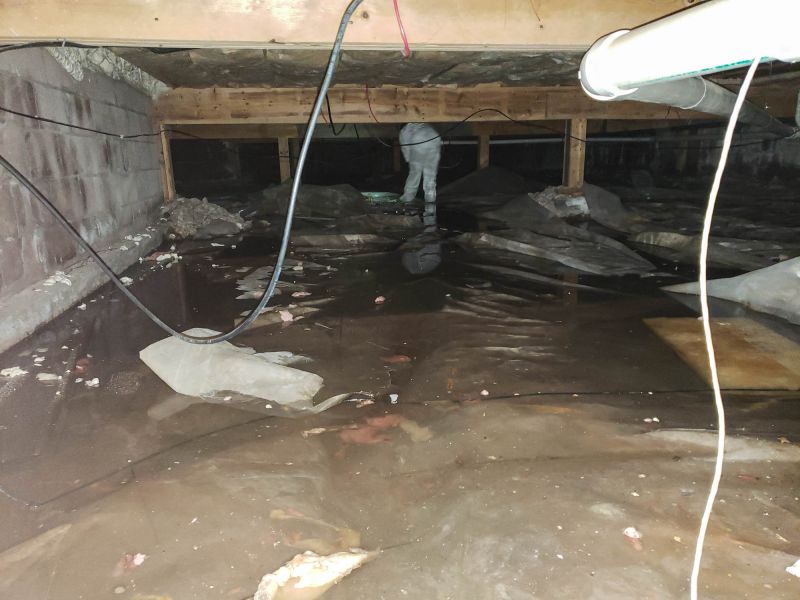 Basement Water Extraction in Santa Rosa, CA