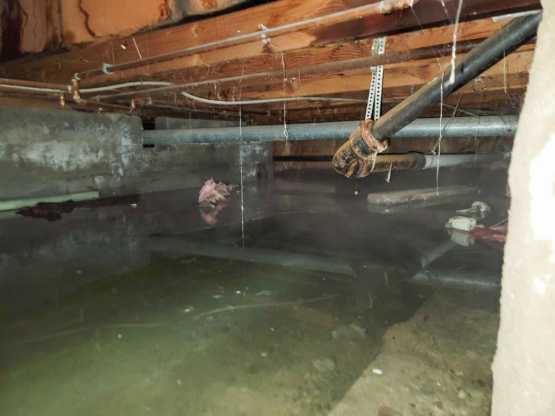 Basement Water Extraction in Phoenix, AZ