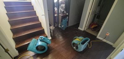 Flood Restoration Service in Mesa, AZ