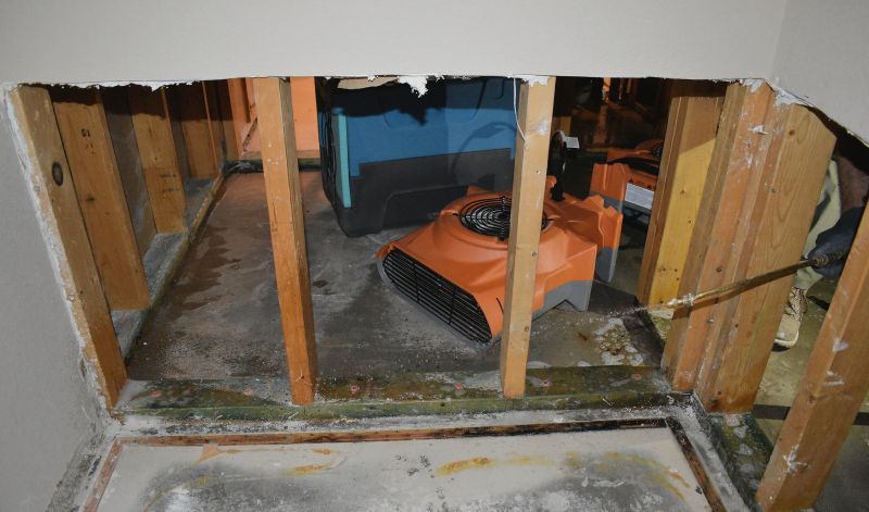 Storm Damage Cleanup in Gilbert, AZ