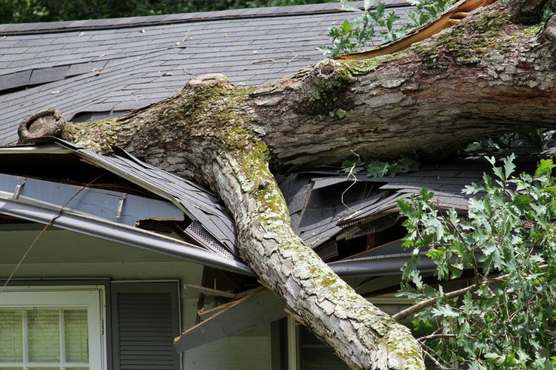 Storm Damage Cleanup in Gilbert, AZ