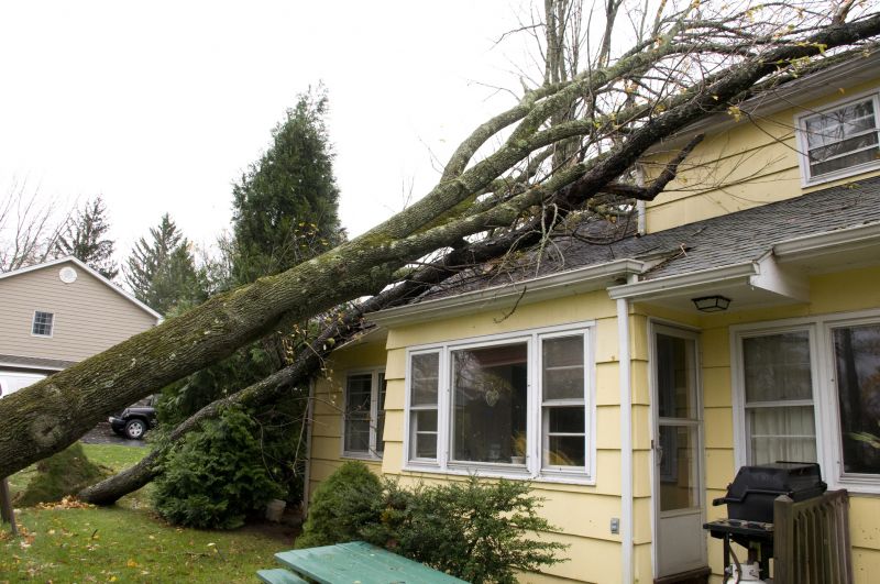 Storm Damage Restoration in Alpharetta, GA