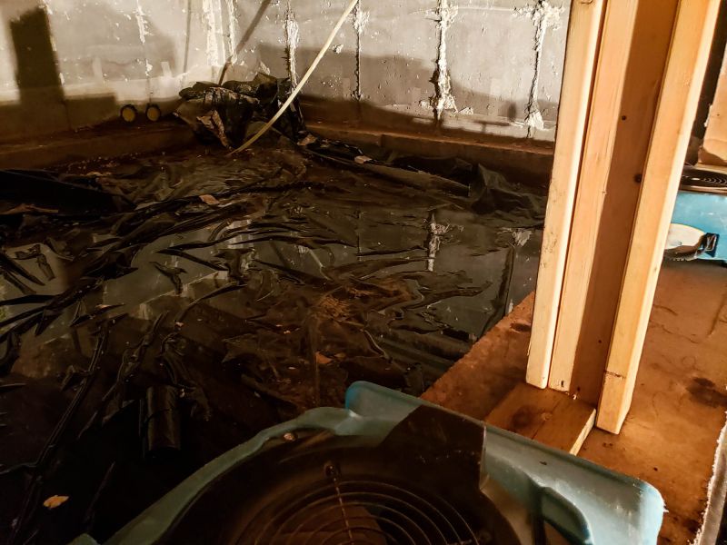 Water Removal Service in Phoenix, AZ