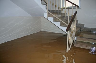 Basement Drying in Napa, CA