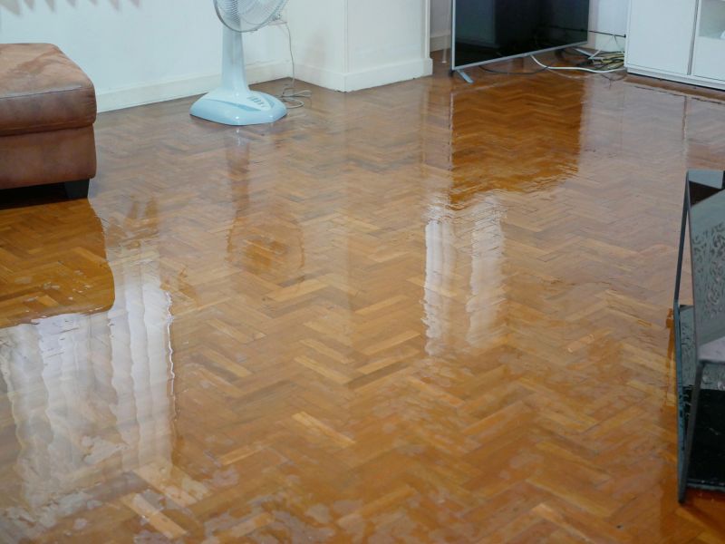 Flooded Floor Repair in Mesa, AZ